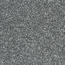 0249 Carbon